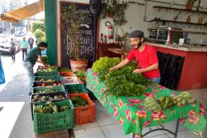 Armazém do Campo: 5 anos da maior rede de produtos da Reforma Agrária Popular do Brasil Armazém do Campo: 5 anos da maior rede de produtos da Reforma Agrária Popular do Brasil