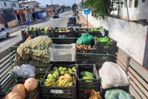 CPT em João Pessoa doa 16 toneladas de alimentos para mulheres de periferias CPT em João Pessoa doa 16 toneladas de alimentos para mulheres de periferias