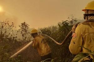 Como o desmonte de órgãos ambientais tem relação direta com o fogo nas florestas Como o desmonte de órgãos ambientais tem relação direta com o fogo nas florestas