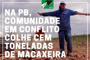 Na Paraíba, comunidade em conflito colhe cem toneladas de macaxeira Na Paraíba, comunidade em conflito colhe cem toneladas de macaxeira