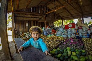 Artigo - Agroecologia já não é uma alternativa, é a única possibilidade Artigo - Agroecologia já não é uma alternativa, é a única possibilidade