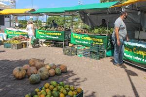 Feira camponesa: uma experiência comunitária Feira camponesa: uma experiência comunitária