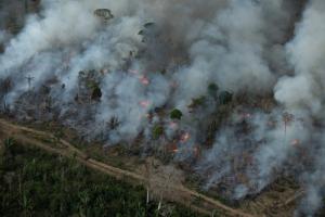 Articulação divulga terceira fase do Dossiê Agro é Fogo: Brasil em Chamas – o poder político no rastro dos incêndios