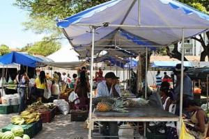 Mesmo com seca, Feira Camponesa aposta em recorde de vendas Mesmo com seca, Feira Camponesa aposta em recorde de vendas