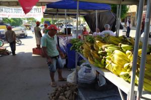 MST realiza 1ª Feira da Reforma Agrária na cidade de Atalaia (AL) MST realiza 1ª Feira da Reforma Agrária na cidade de Atalaia (AL)
