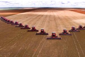 Em meio à exportação recorde de alimentos, seca e pandemia agravam fome no campo Em meio à exportação recorde de alimentos, seca e pandemia agravam fome no campo