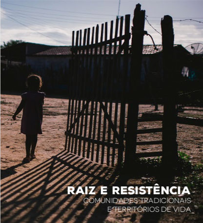 RaizeResistencia.png
